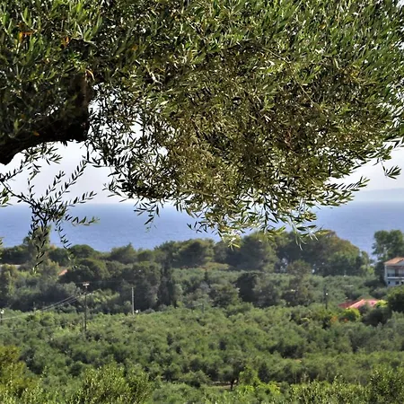 Belvedere - 4 Bedrooms Sea View House Villa